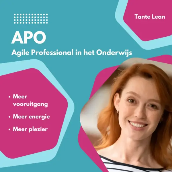 Cursus agile professional in het onderwijs productafbeelding